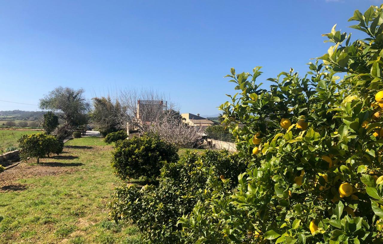 Son Roig ,Beautiful Place In The Heart Of Mallorca -Etv 9979 Мария-де-ла-Салуд Экстерьер фото