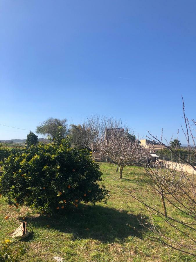 Son Roig ,Beautiful Place In The Heart Of Mallorca -Etv 9979 Мария-де-ла-Салуд Экстерьер фото